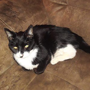 Meet your Posher, Brandy